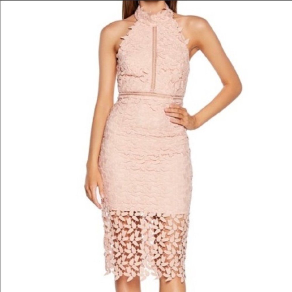 NWT Bardot Gemma Halter Lace Sheath Dress Prosecco